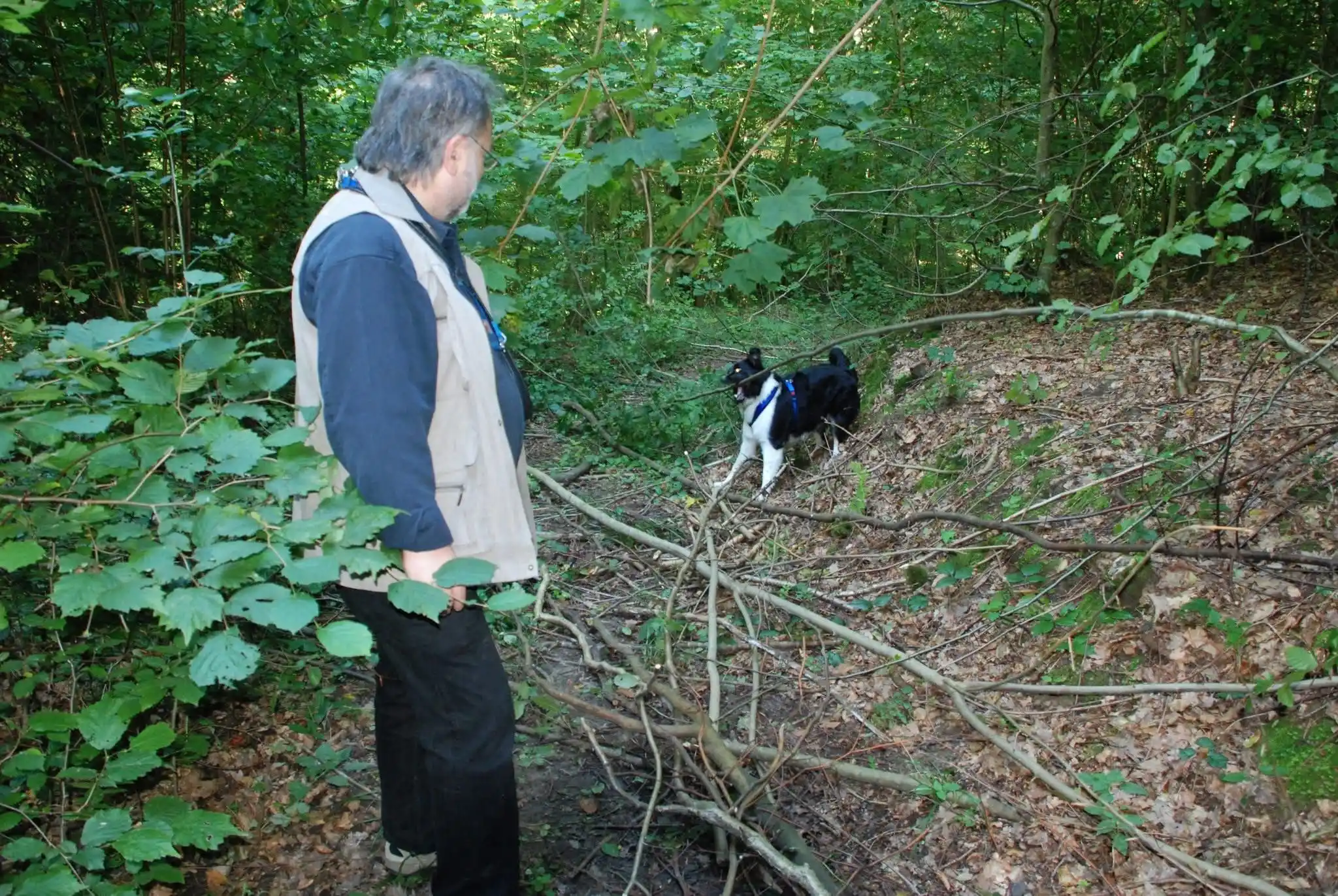 Image from Alois mit Hund: Hunderunde durch das Fünf-Mühlen-Tal bei Bad Rappenau. Geschichte trif...