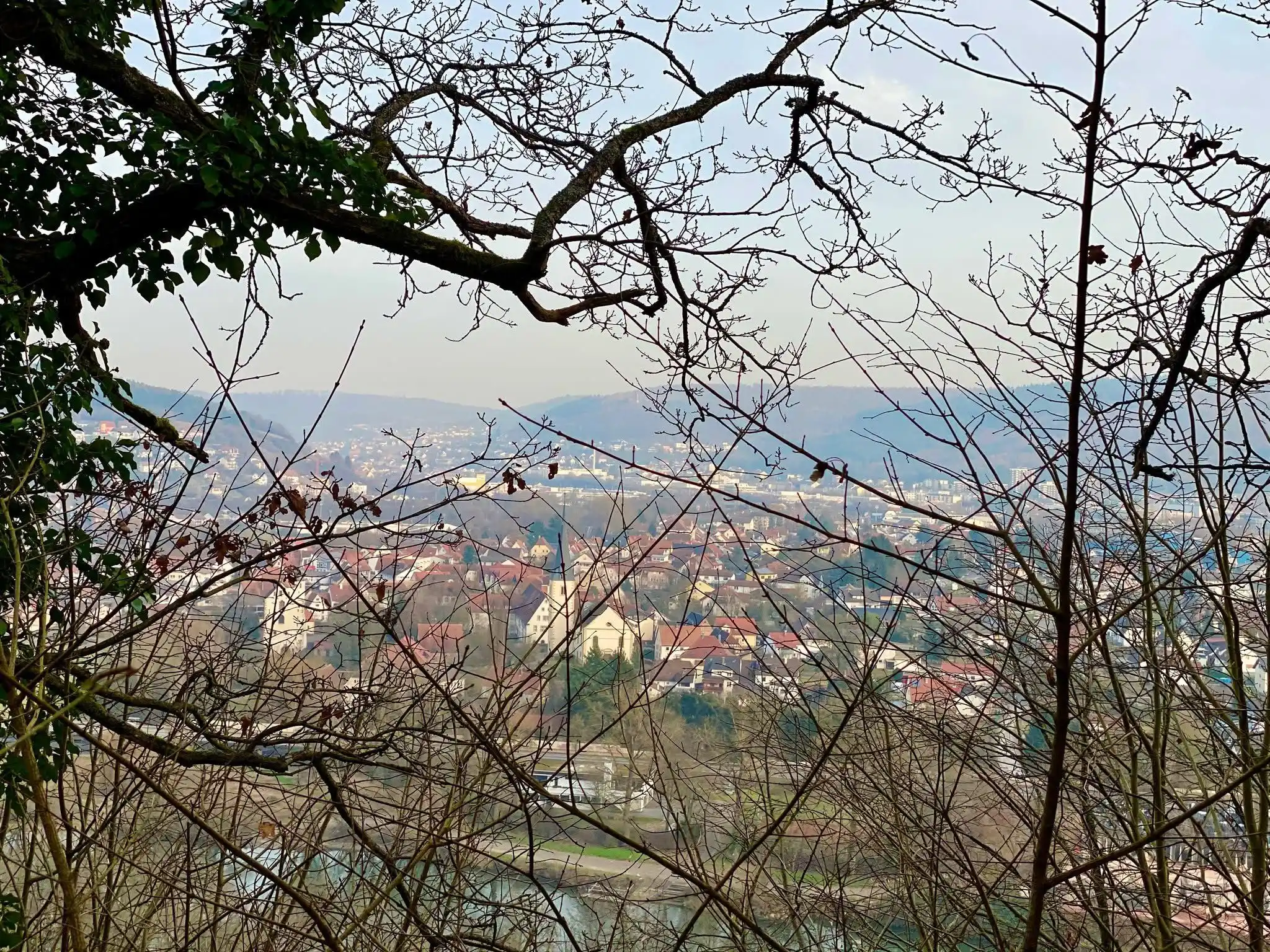 Image from Alois mit Hund: Ein Stück Heimat Die 3. Obrigheimer Burg – Ein Ort zwischen Vergangenh...