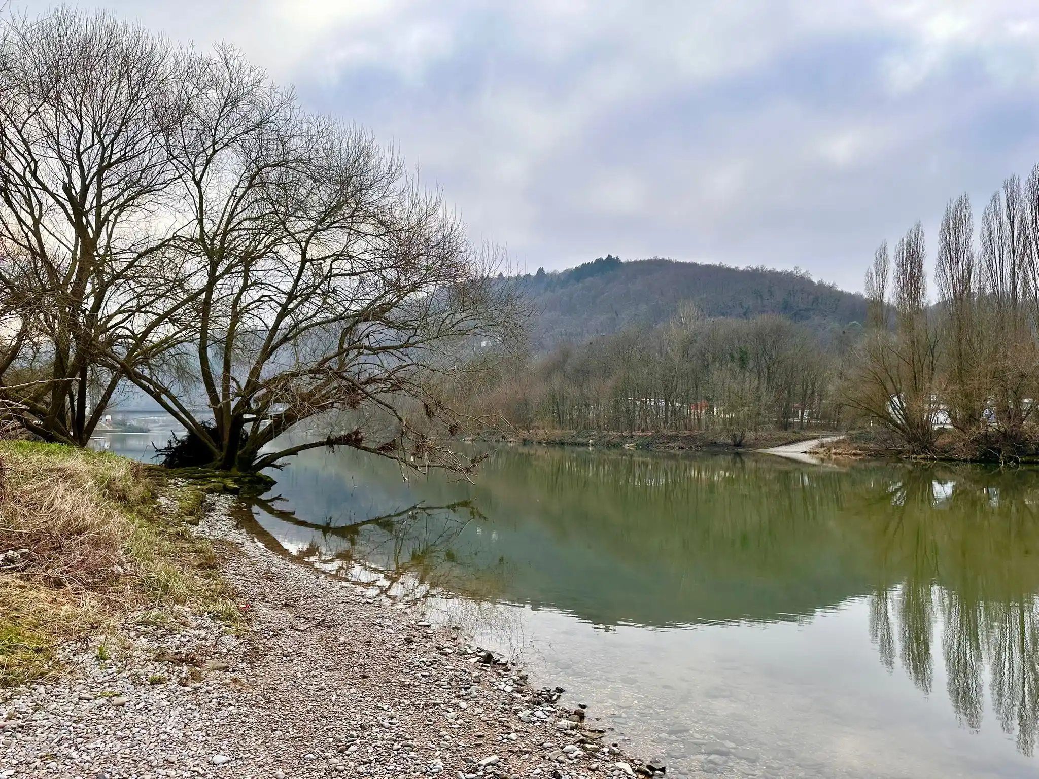 Image from Alois mit Hund: Der Neckar liegt heute so ruhig da. Aber mal was über den Neckar, das...