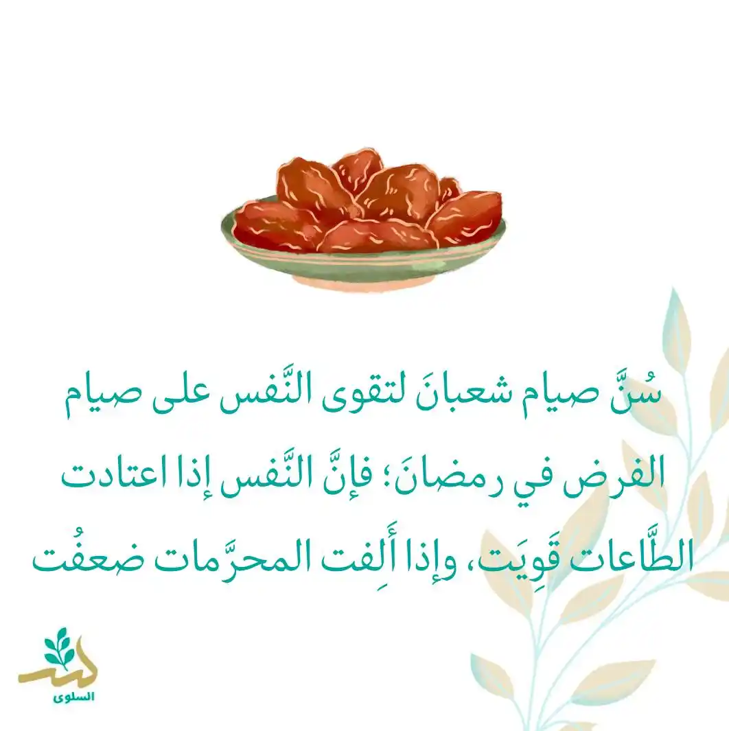 السلوى 🌿 post