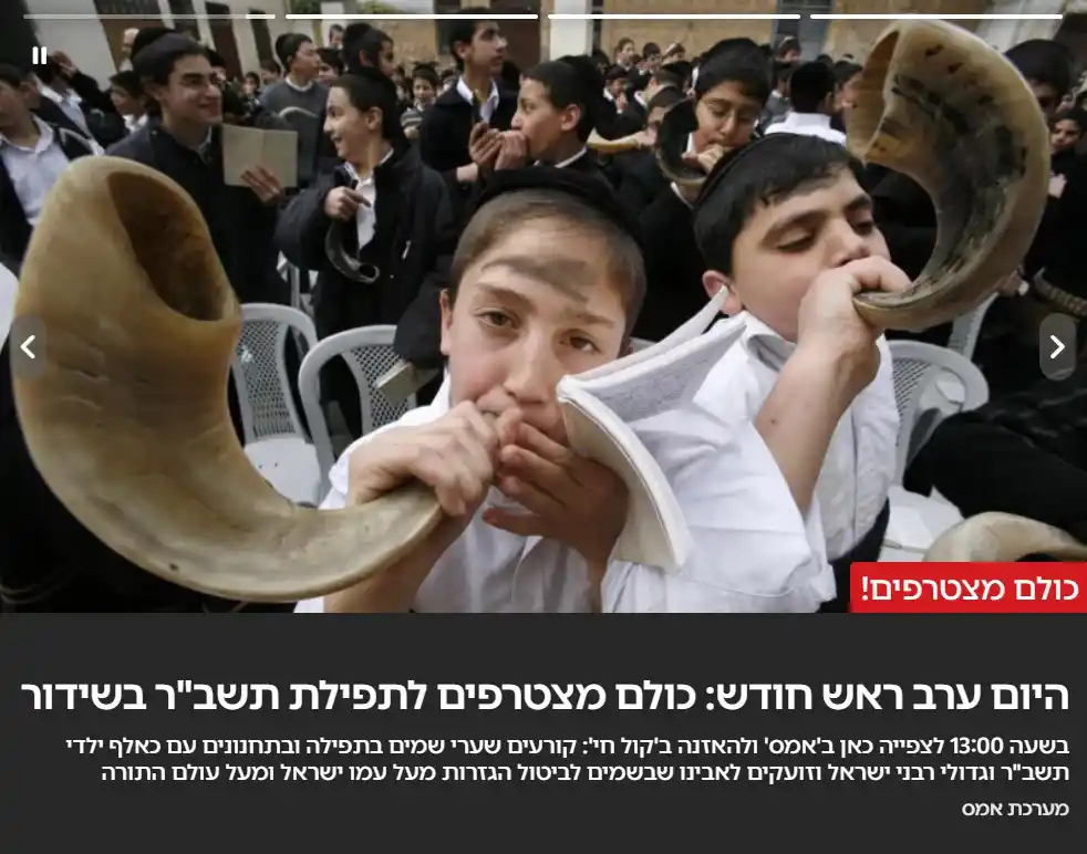 "אמס" - אונליין - הדיגיטל של 'קול חי' post