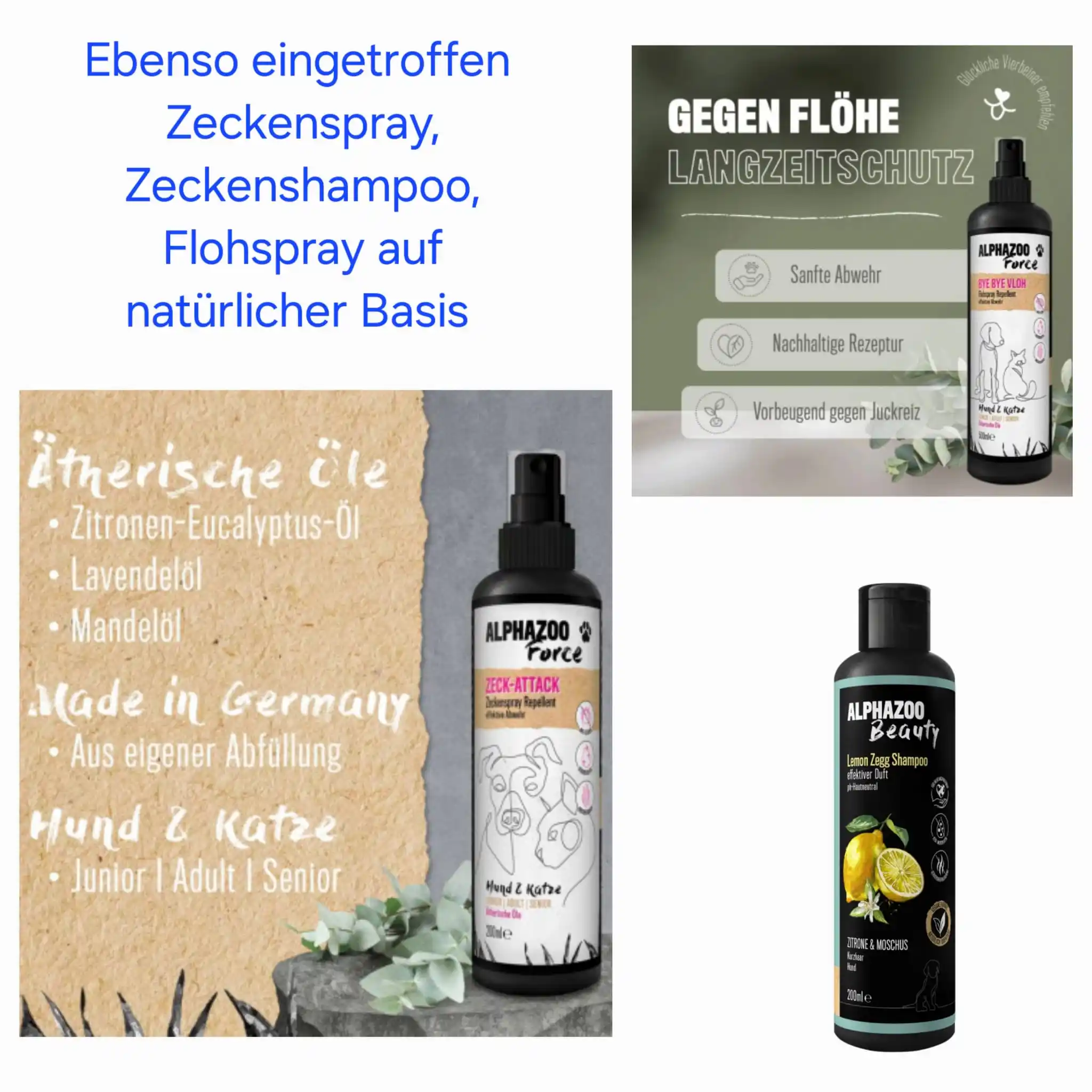 BARF Shop Bamberg "Gesundheit Beginnt Im Napf" post