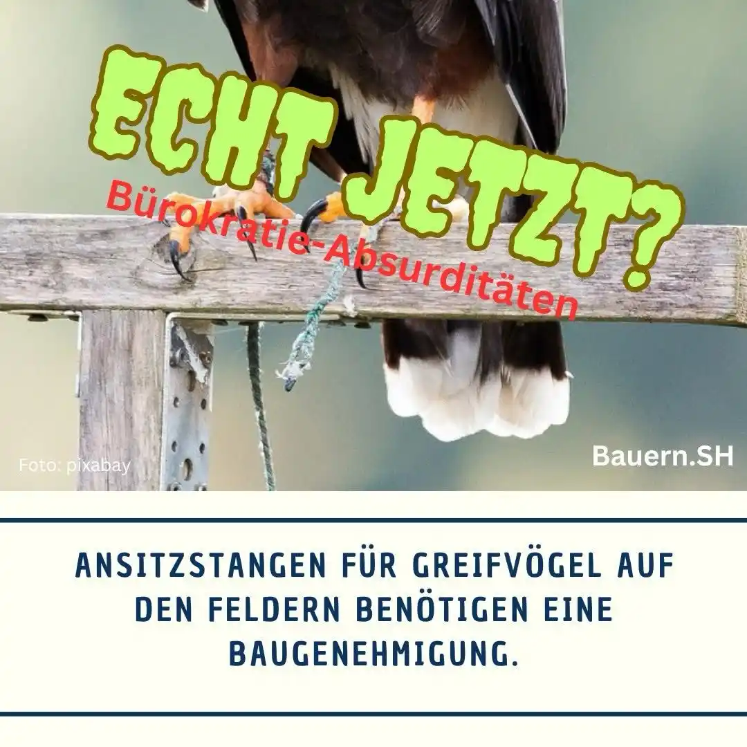 Bauern.SH post