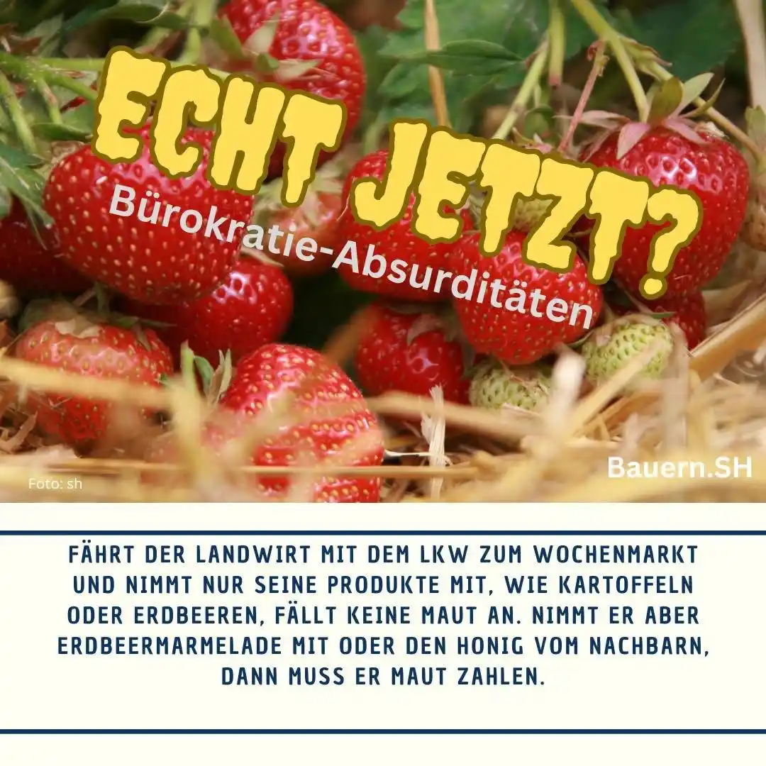 Image from Bauern.SH: Landwirte leiden unter einem "Bürnout", einen Ausbrennen durch zu viel...