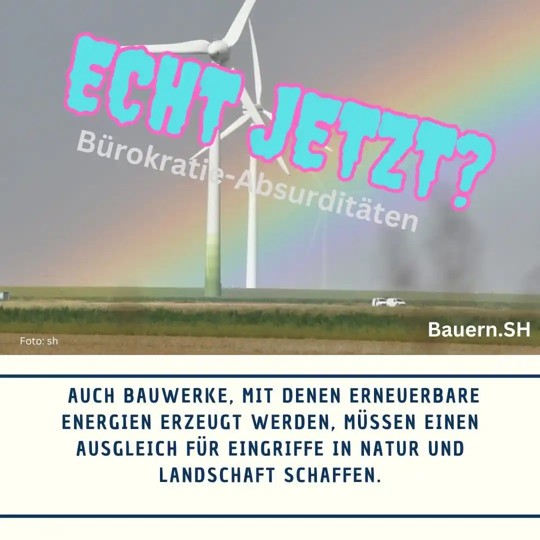 Image from Bauern.SH: Landwirte leiden unter einem "Bürnout", einen Ausbrennen durch zu viel...