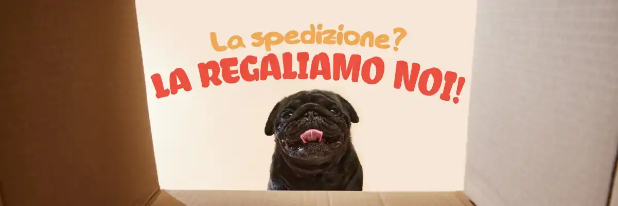 Bauzaar.it per veri PetLovers post