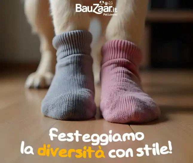 Bauzaar.it per veri PetLovers post