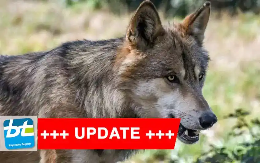 Bayreuther Tagblatt  post