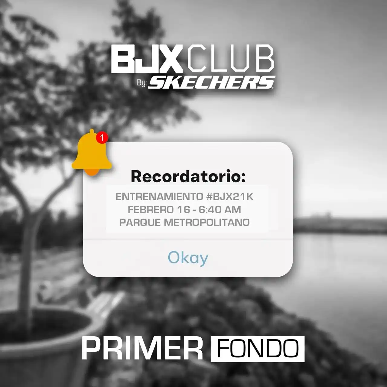 Image from BJX CLUB By: Skechers 👟🔥😎: ⏰ ¡Nos vemos mañana! 😎 <a class="text-blue-500 hover:underline cursor...