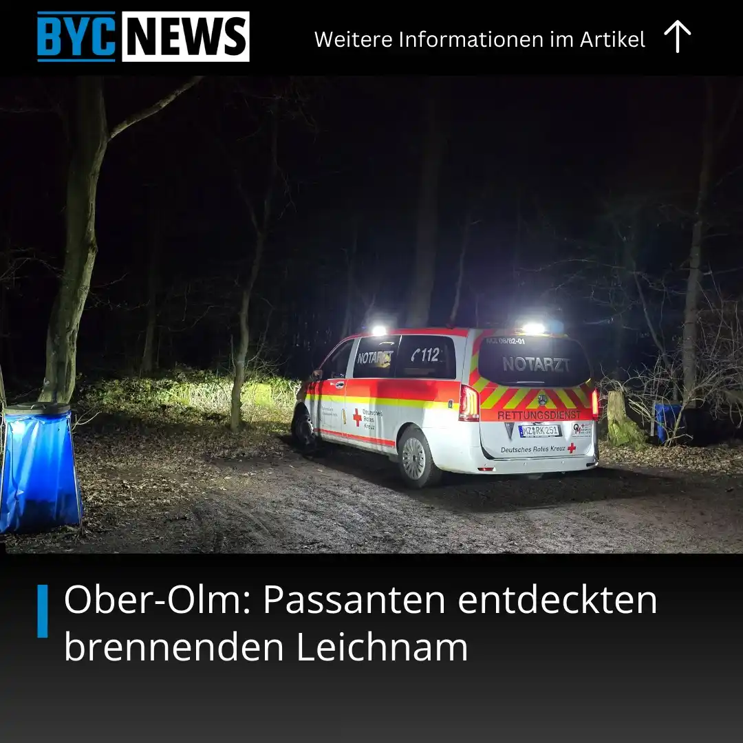 BYC-News.de post