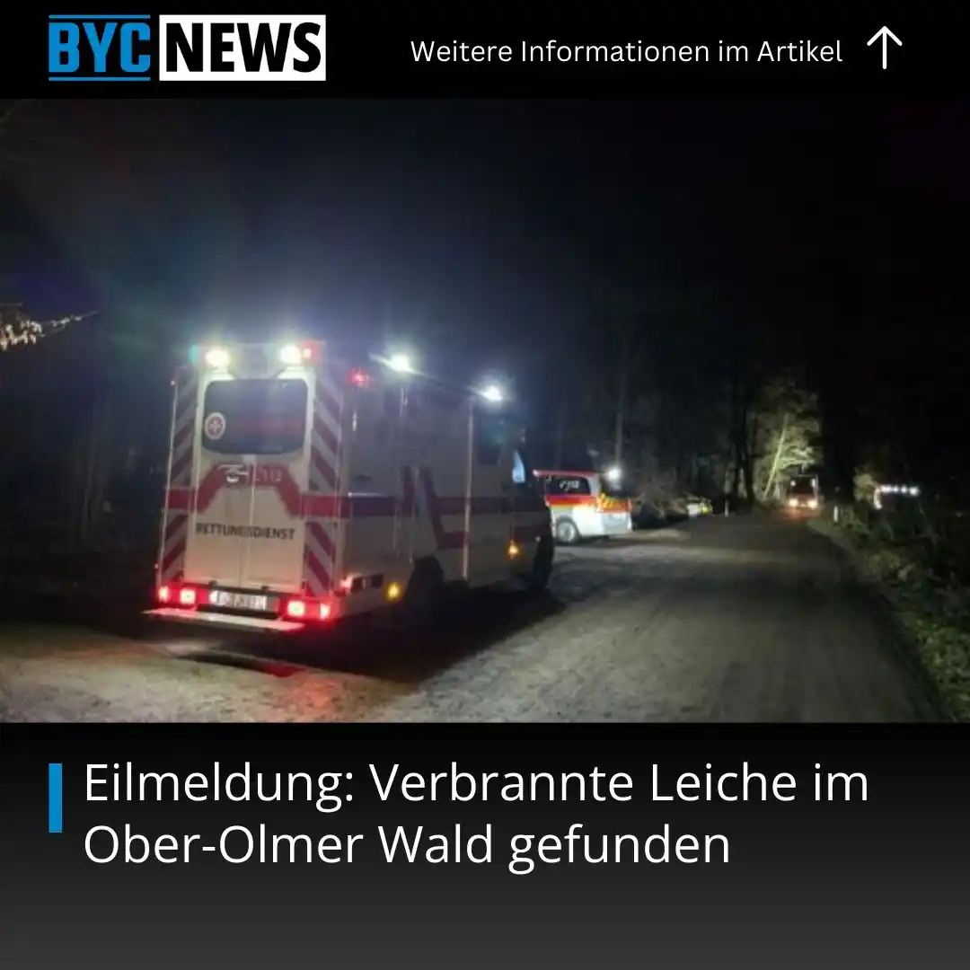 BYC-News.de post