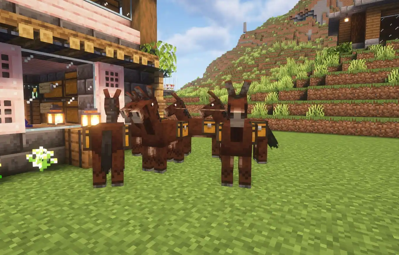 Canal do Wonkinha post