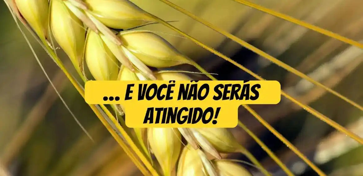 canaldoadventista post