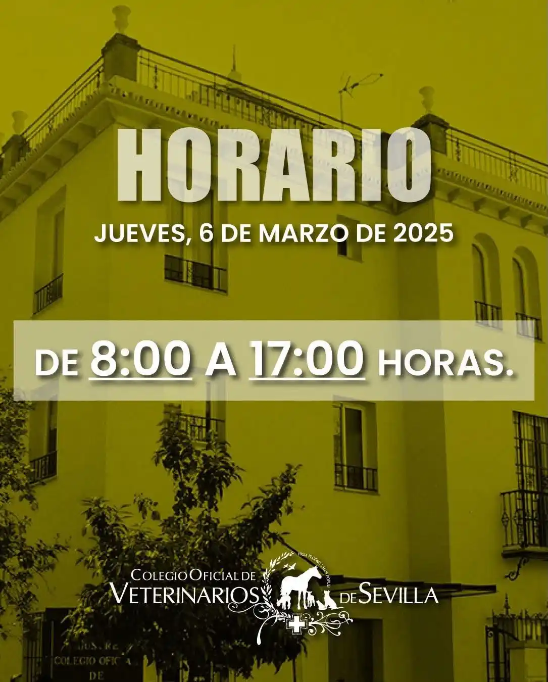 Colegio de Veterinarios de Sevilla post