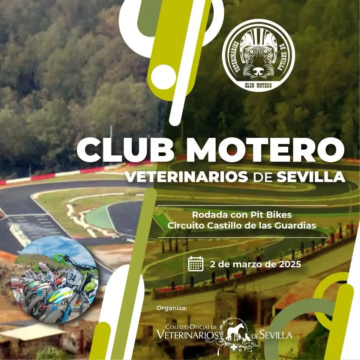 Colegio de Veterinarios de Sevilla post