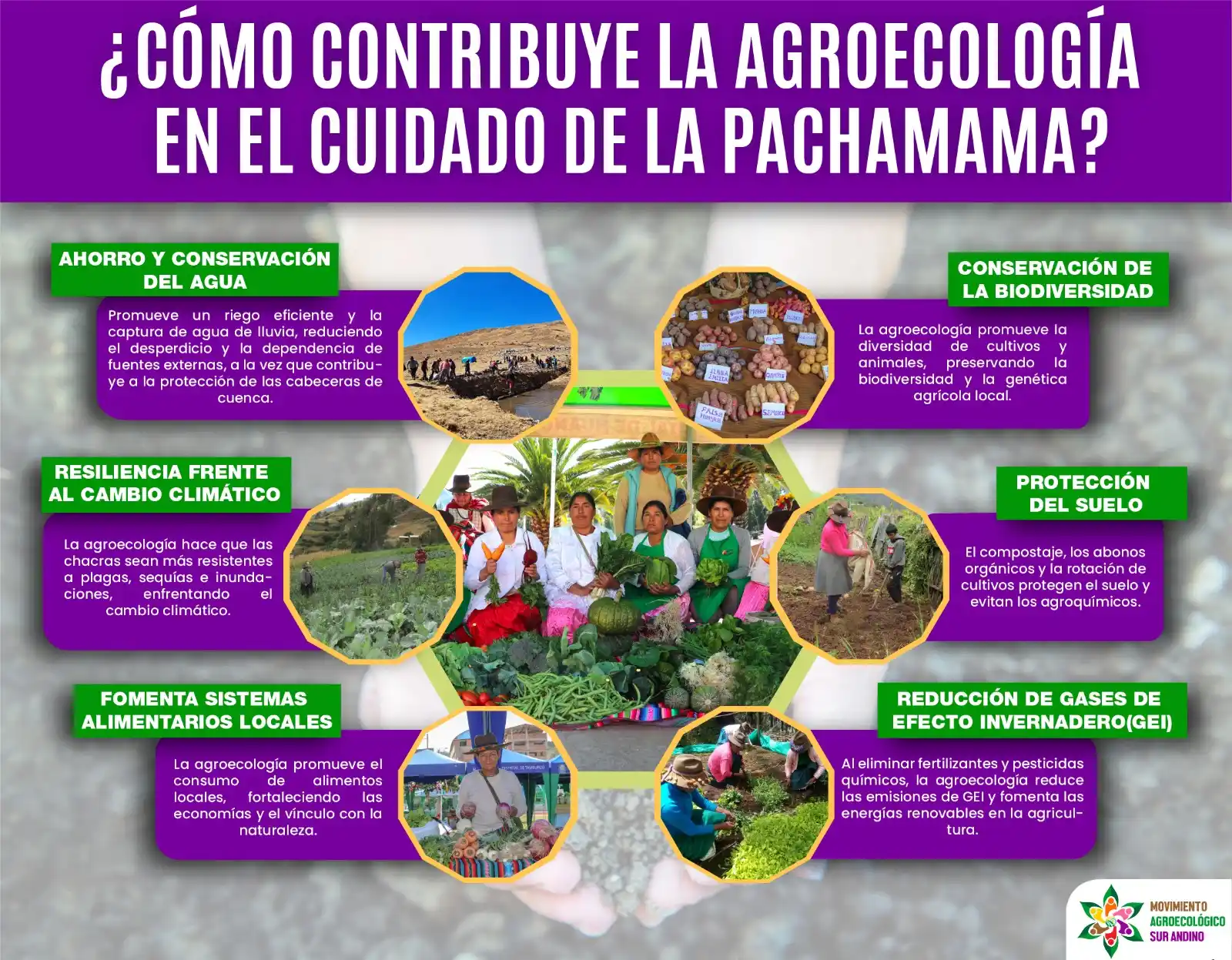 Image from CooperAcción Perú Info: 🌿✨ ¿Como contribuye la agroecologia en el cuidado de la Pachamama? ✨�...