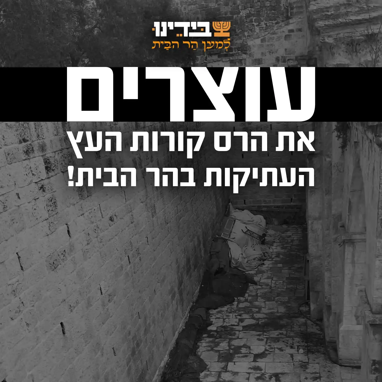 עדכוני הר הבית post