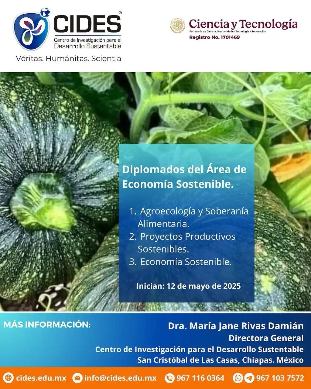 Domingo Gómez López post