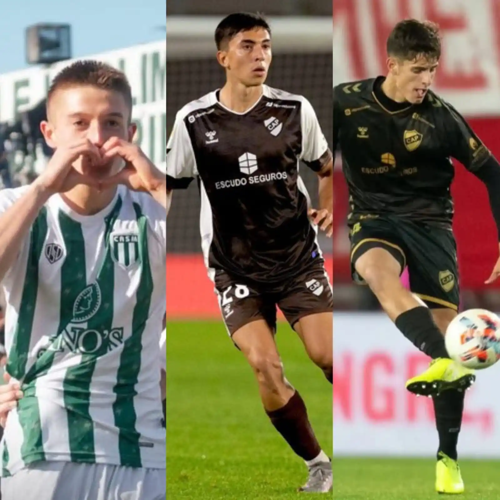 DOSIS CALAMAR 1905 post