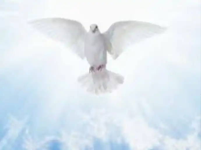 Dr Olivia Lalmuanzuali IN post