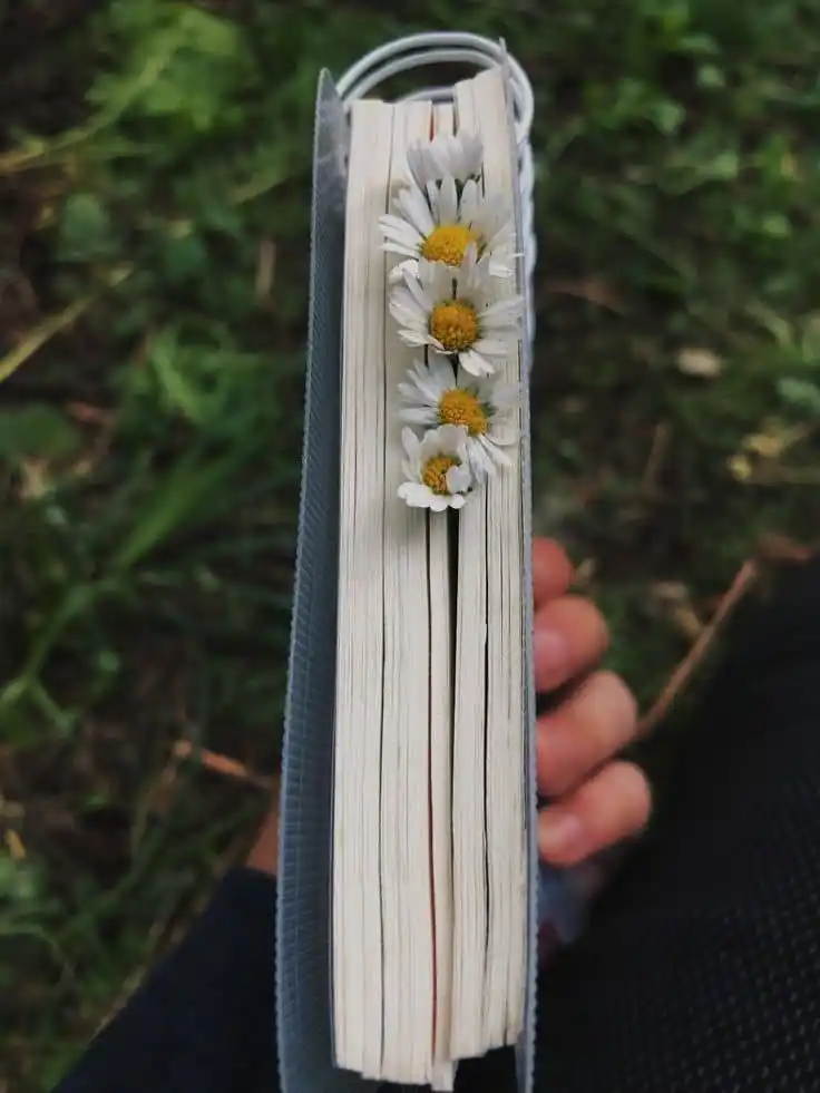 دکتر رشد فردی 🚀 post