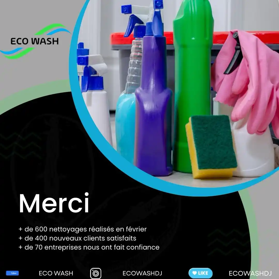 Eco Wash  post