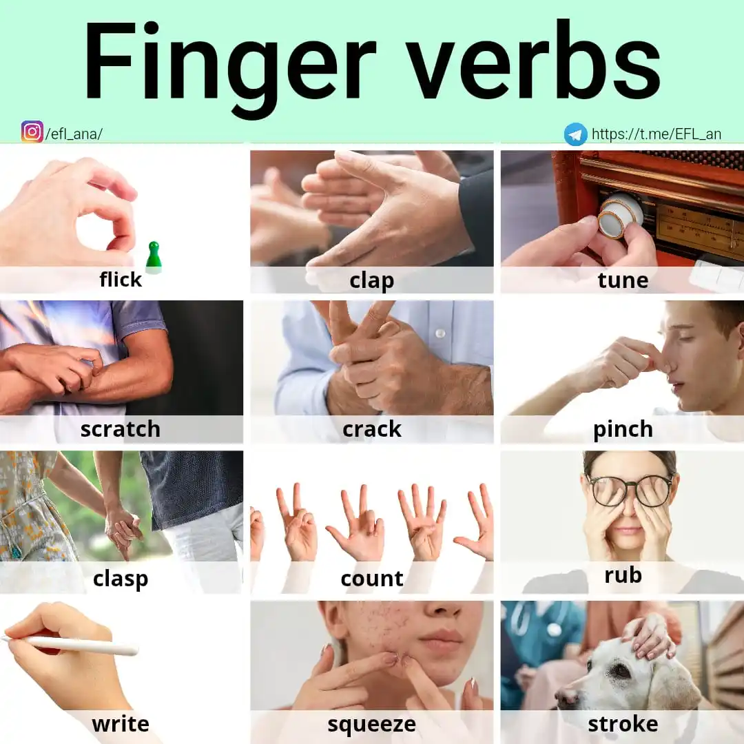 Image from EFL_ana English: 🔹Today's verbs refer to different action that involve your fingers in...