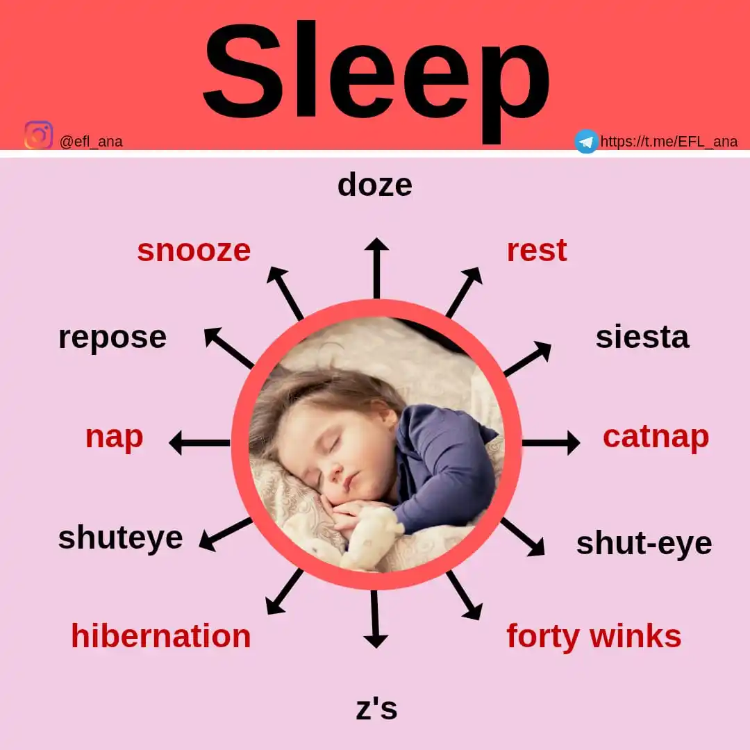 Image from EFL_ana English: 🔹Are you going to sleep now? 💤😴💤😴💤😴💤😴💤😴💤😴💤😴 🔹 <a clas...