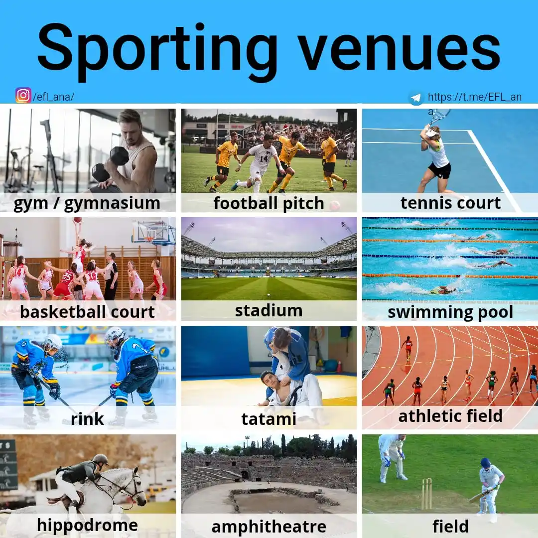 Image from EFL_ana English: 🔹Can you list any other sporting venues in English? 🎾🏑⛳🎾🏑⛳🎾🏑⛳🎾...