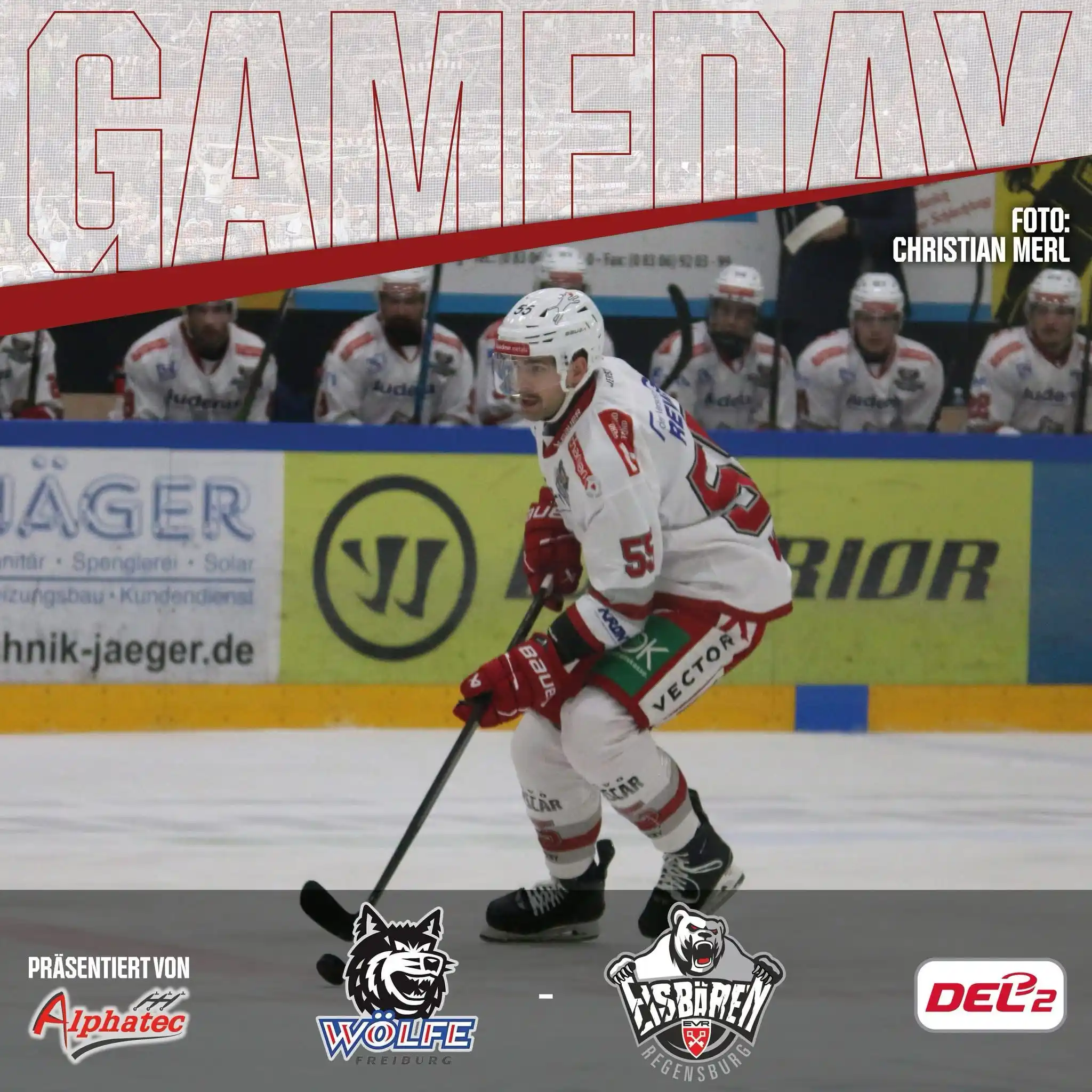 Image from Eisbären Regensburg: 📢 Game Day 🏒🔥 Unsere Eisbären Regensburg spielen heute gegen den E...