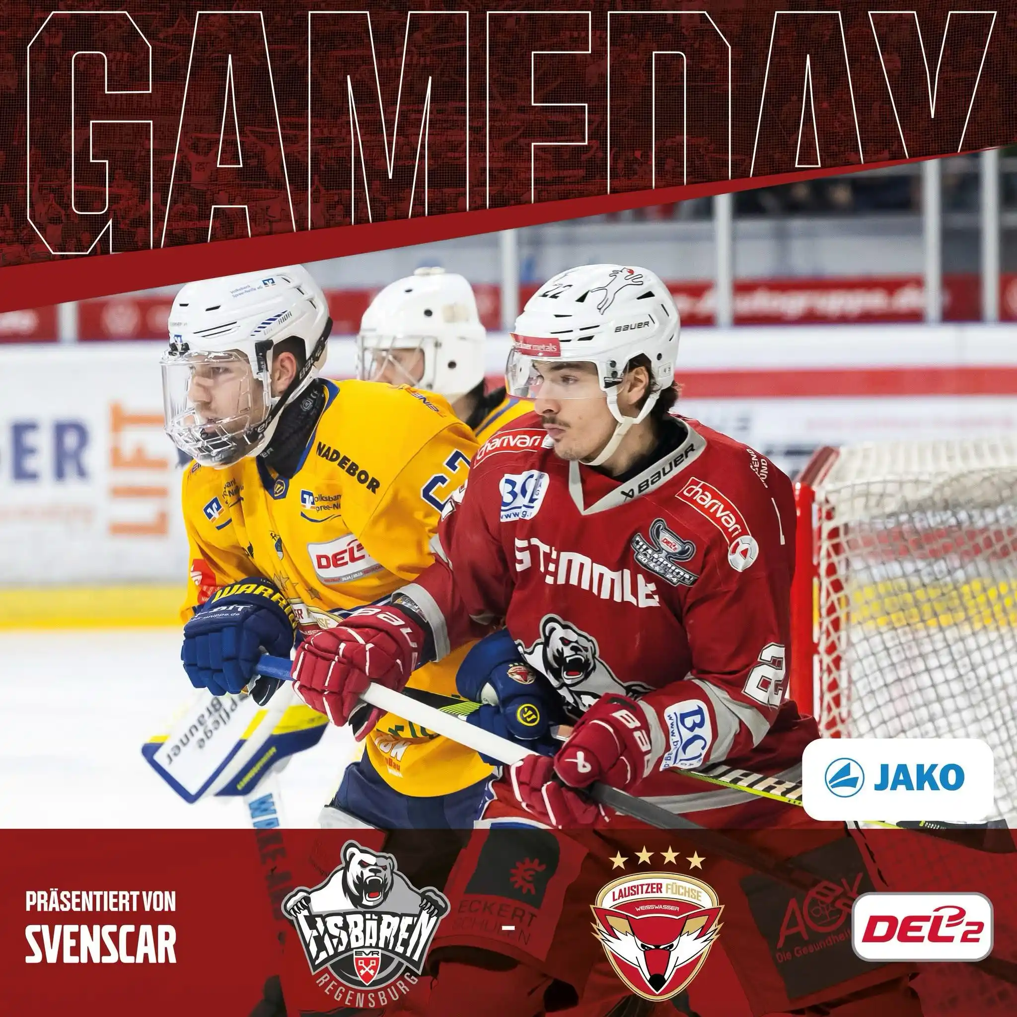 Eisbären Regensburg post