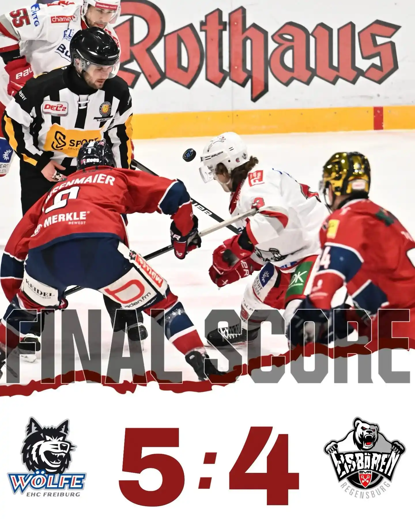 Eisbären Regensburg post