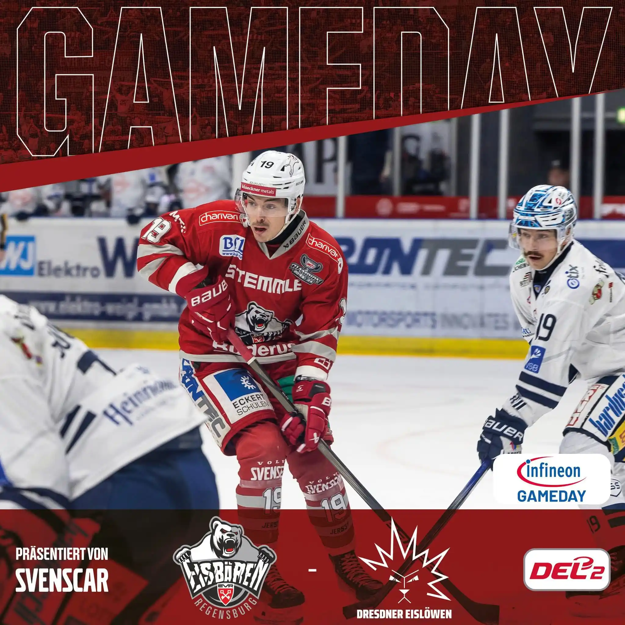Eisbären Regensburg post