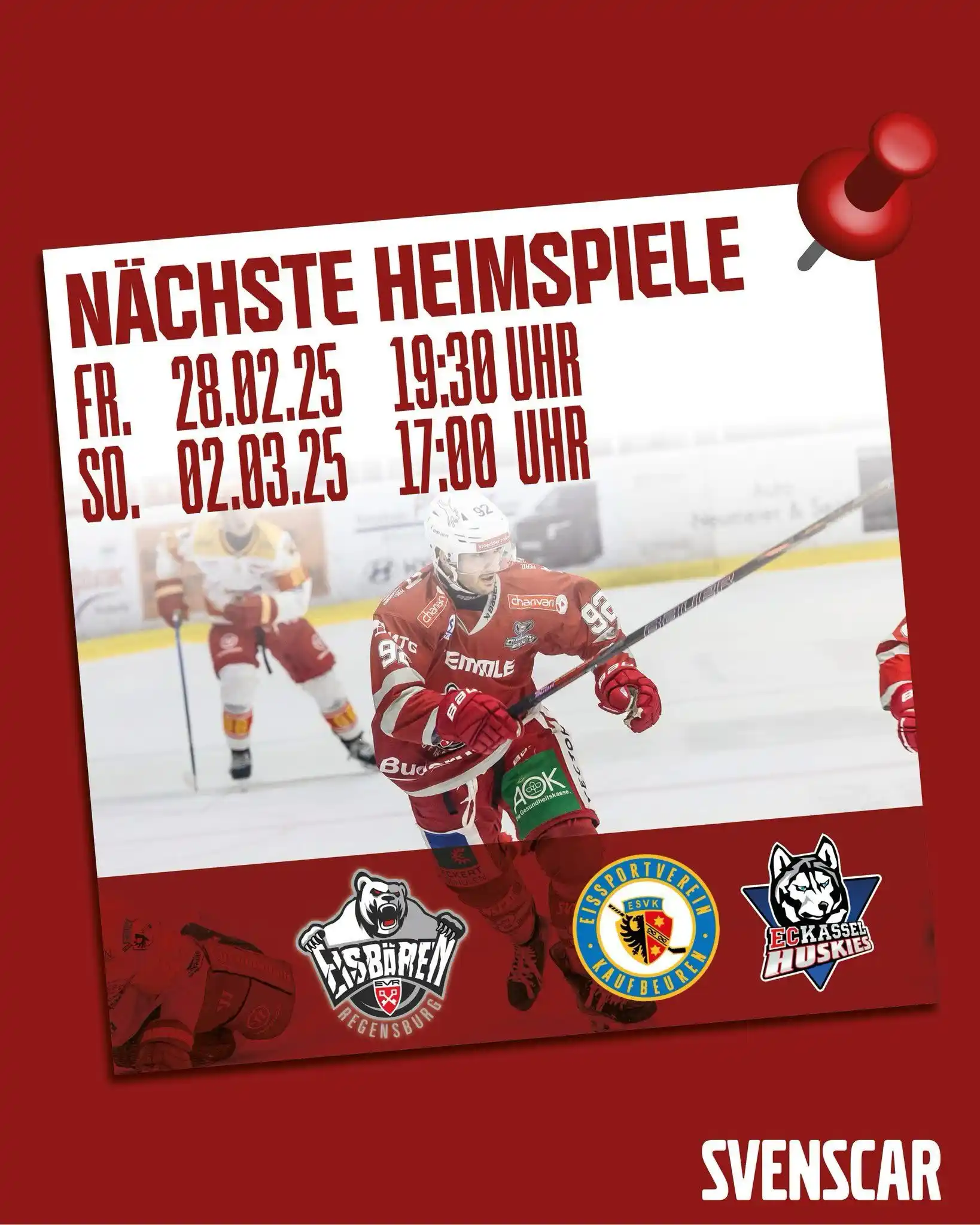 Eisbären Regensburg post
