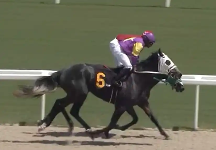 EL FUETAZO HÍPICO post