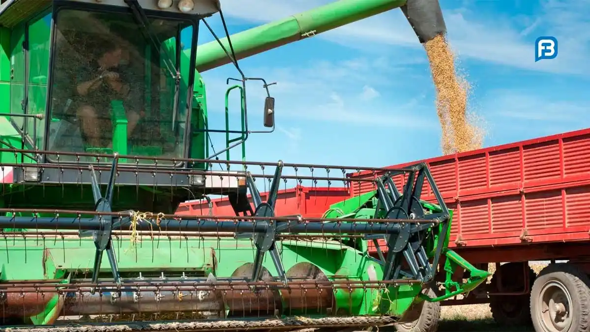 Image from Fala Barreiras, Portal de Notícias: *COLHEITA DA SOJA AVANÇA NA BAHIA COM PRODUTIVIDADE RECORDE* _Produção...
