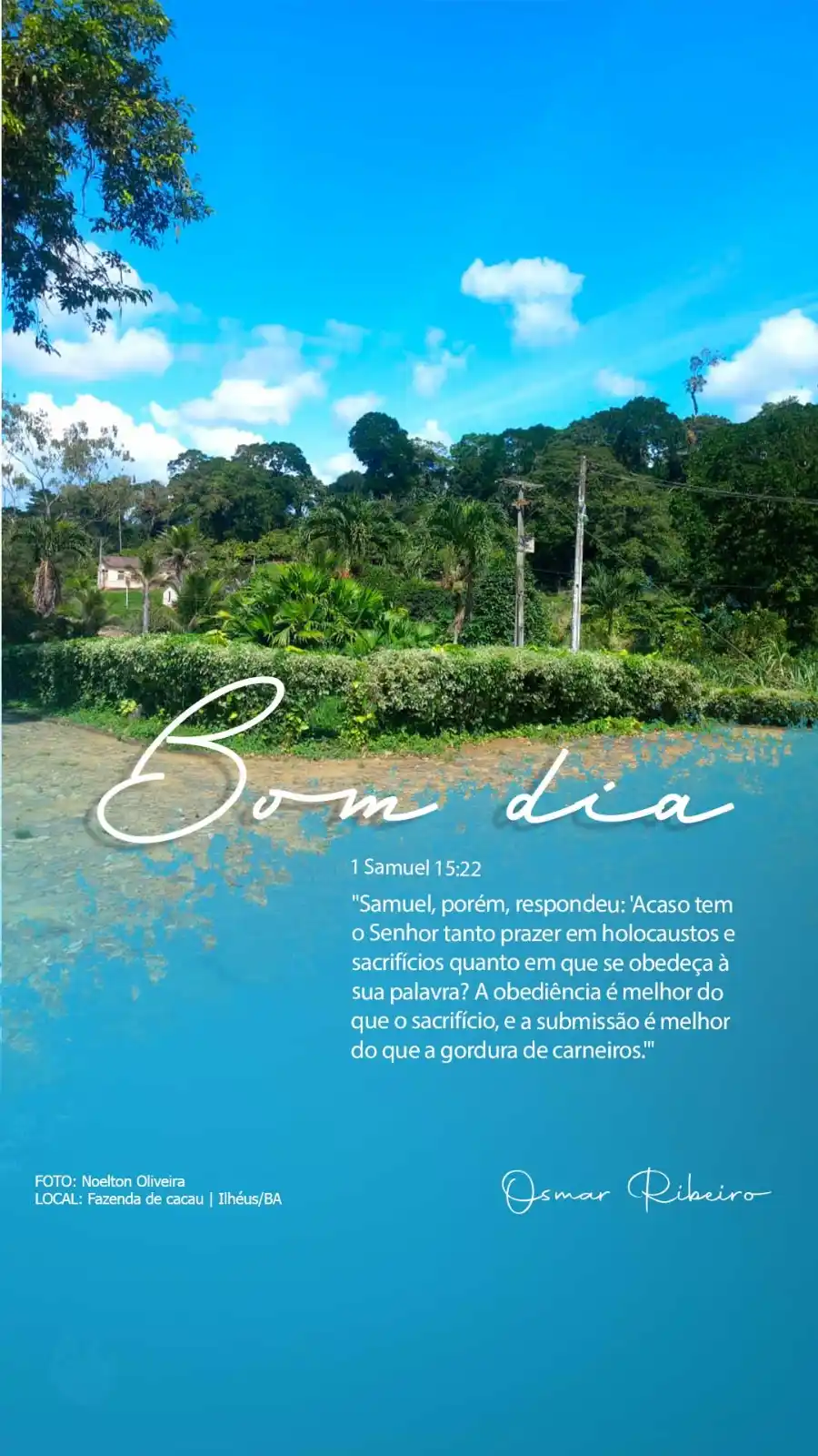 Fala Barreiras, Portal de Notícias post