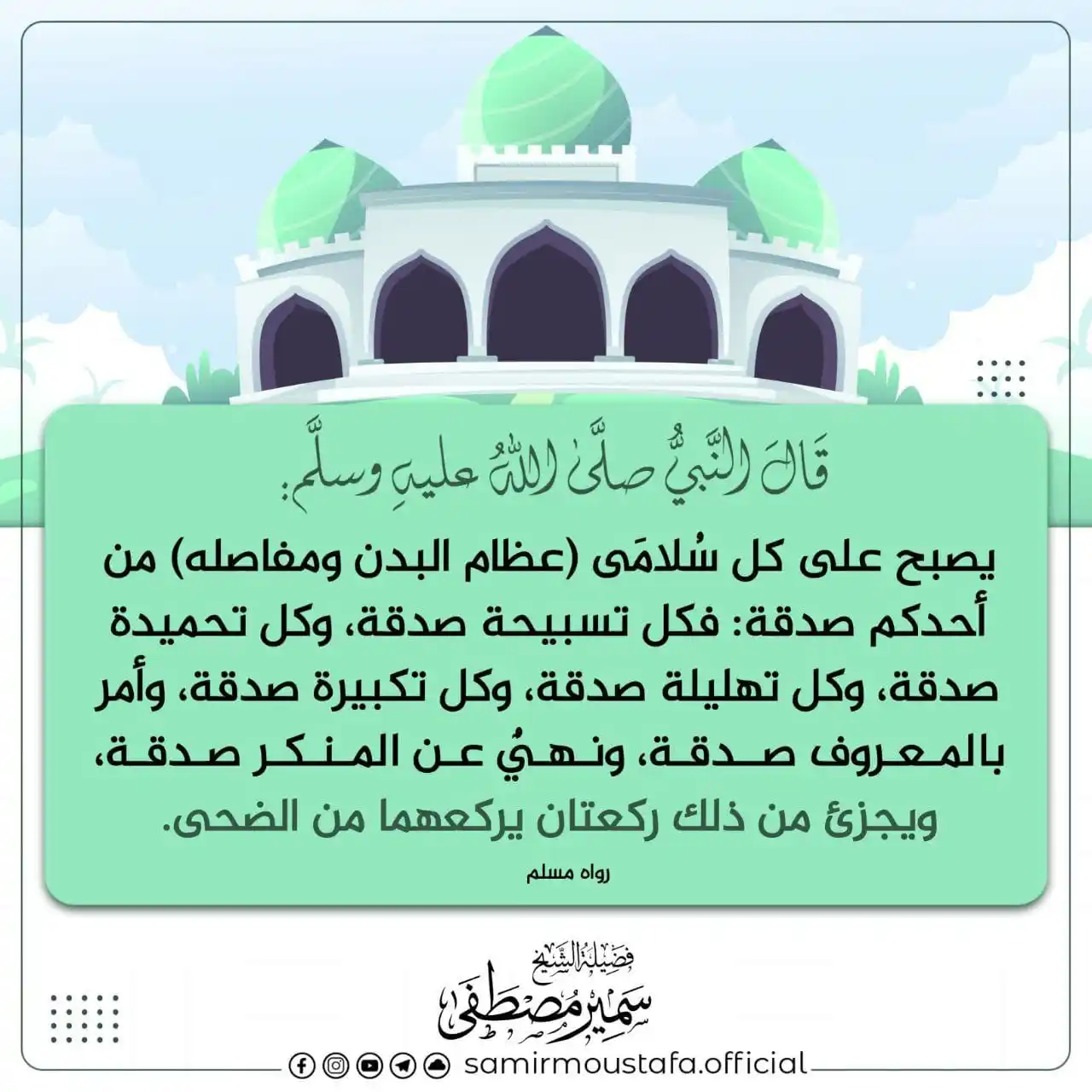 فَسِيـلَةٌ 💚🌱 post