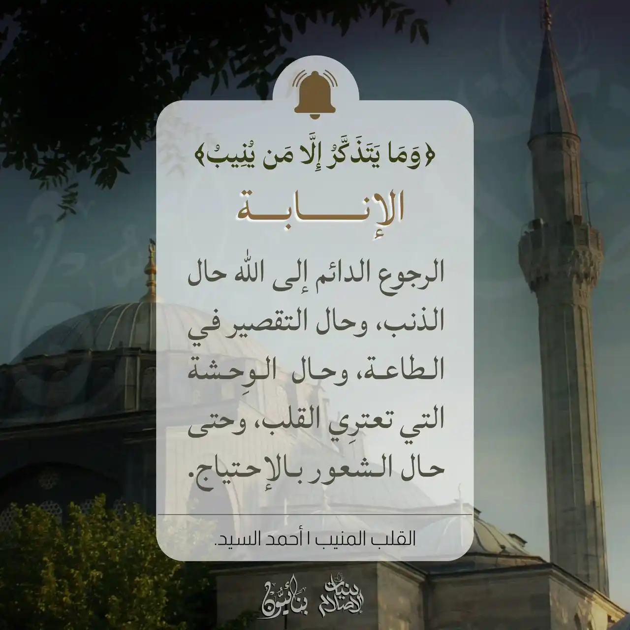 فَسِيـلَةٌ 💚🌱 post