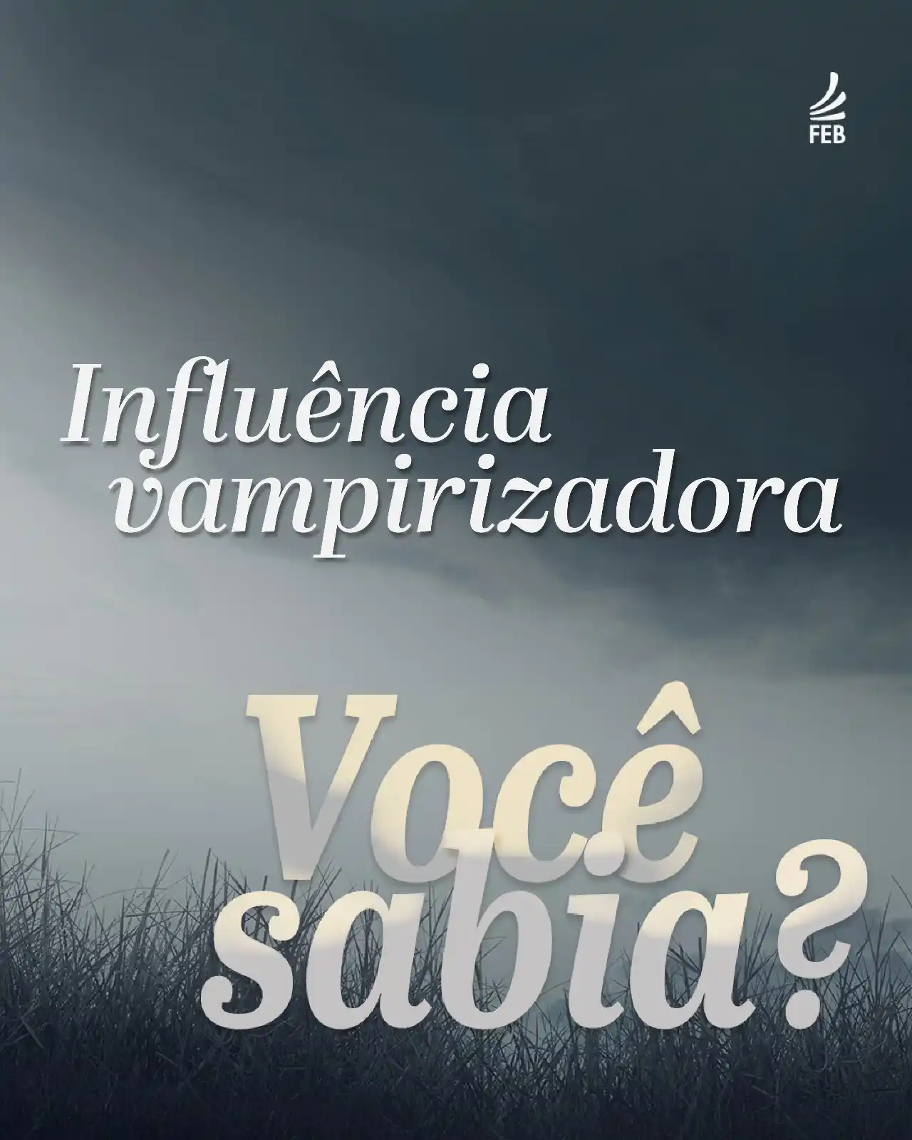 Federação Espírita Brasileira post