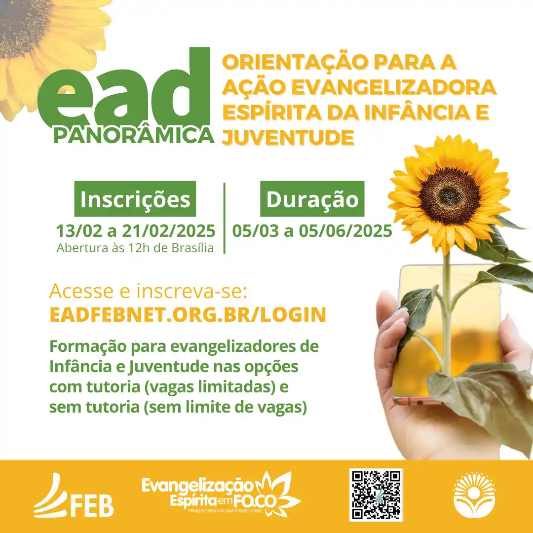Federação Espírita Brasileira post