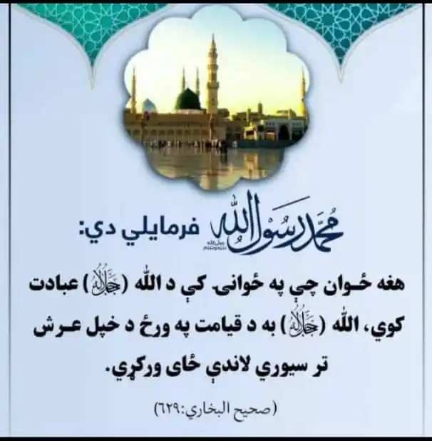 فکري روزنه post