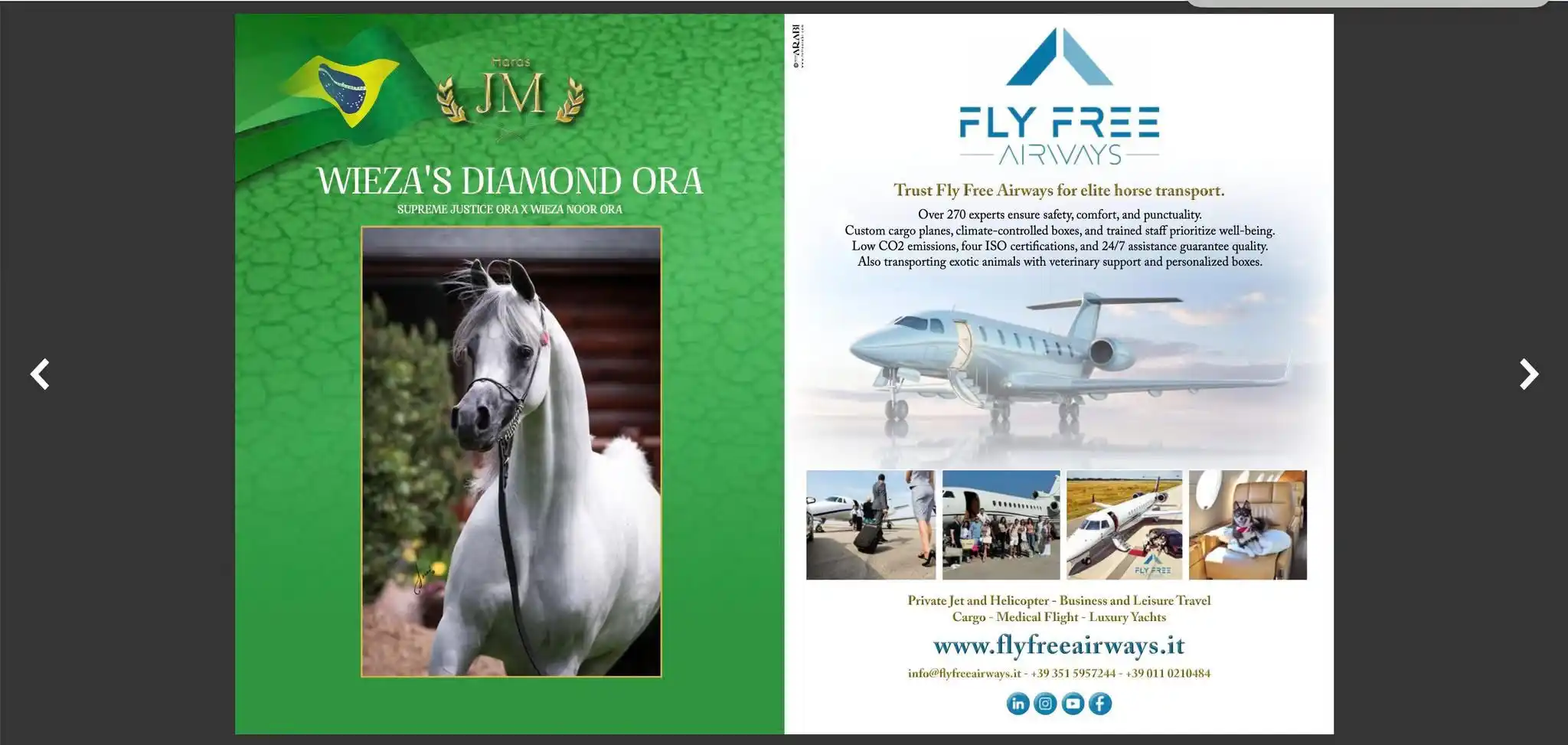 Francesco DAlessandro ✈️ Jet Privati Lusso - Fly Free Airways post
