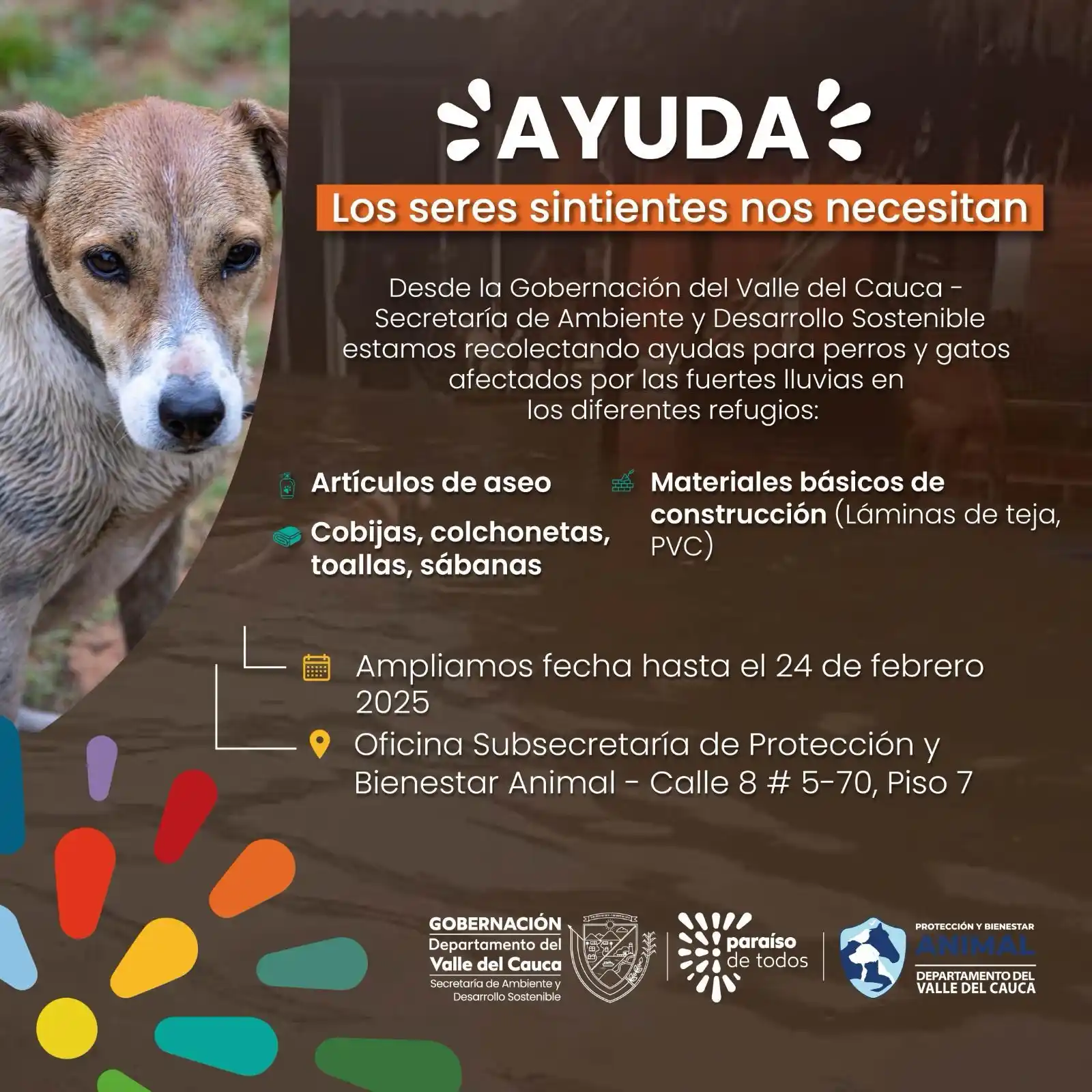 Image from GOBERNACIÓN DEL VALLE OFICIAL: 🐾 *¡Extensión de la campaña ‘Ayuda a los seres sintientes del Valle’!...