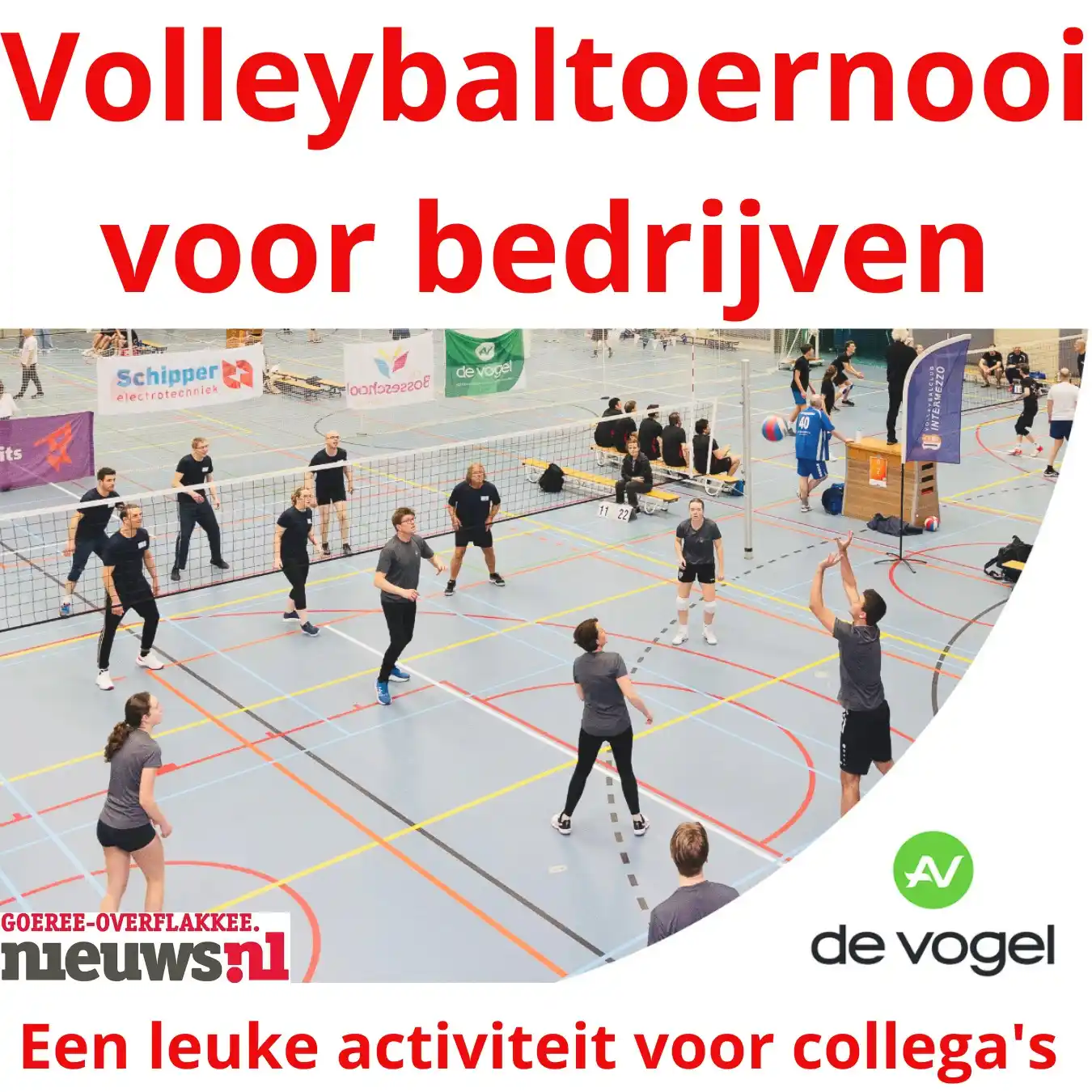 Goeree-Overflakkee Nieuws post