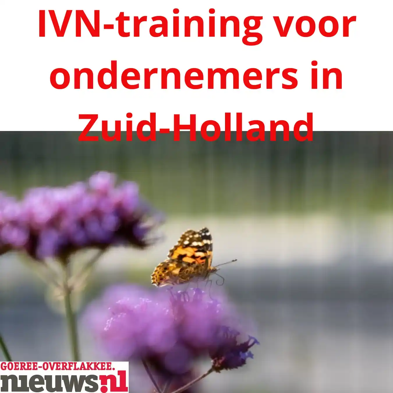Image from Goeree-Overflakkee Nieuws: Bij de training leren ze natuurinclusief ondernemen https://goeree-ov...
