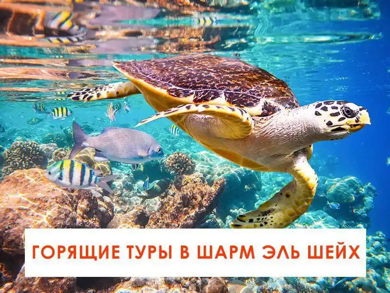 ГОРЯЩИЕ ТУРЫ 🔥 АСТАНА post