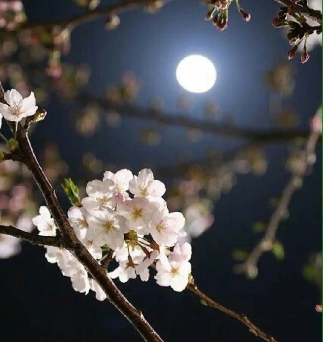 قناة حلم حياة الخيرية/إشراف الأستاذة عبير♥️ post