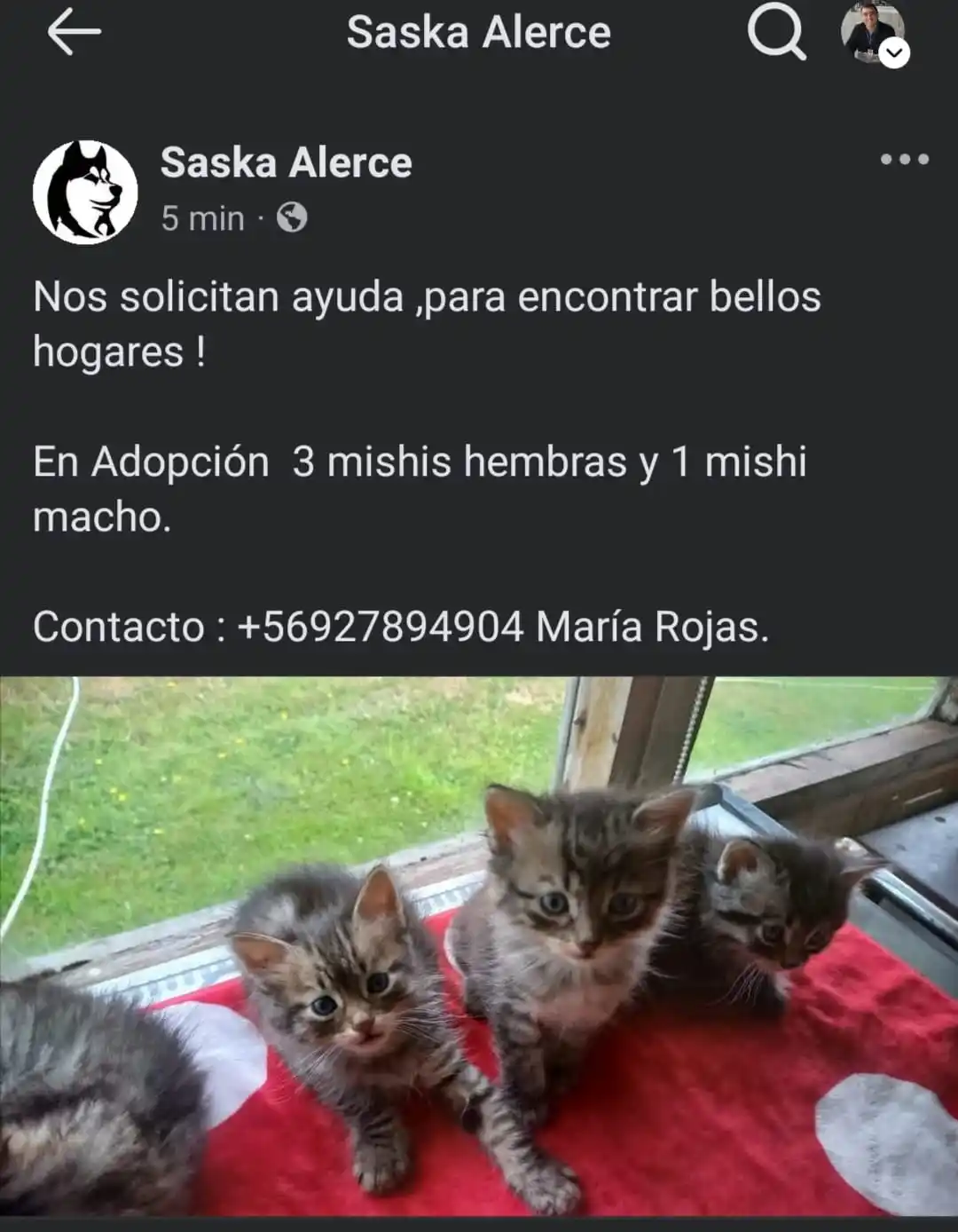 Info Empleos post