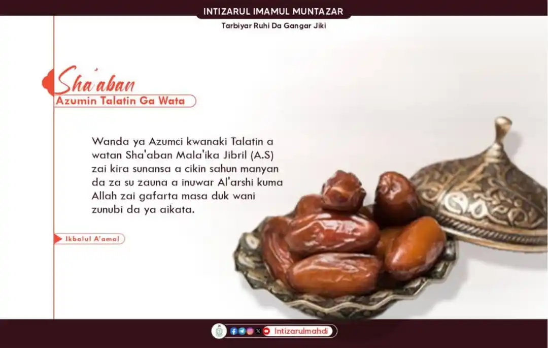Intizarul Mahdi post